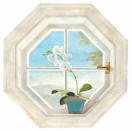 Orchid Window RV2670M wallpaper wall mural