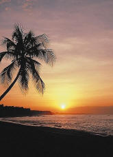 Tropical Sunset Wall Mural PR1028