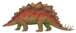Walls of the Wild Stegosaurus
